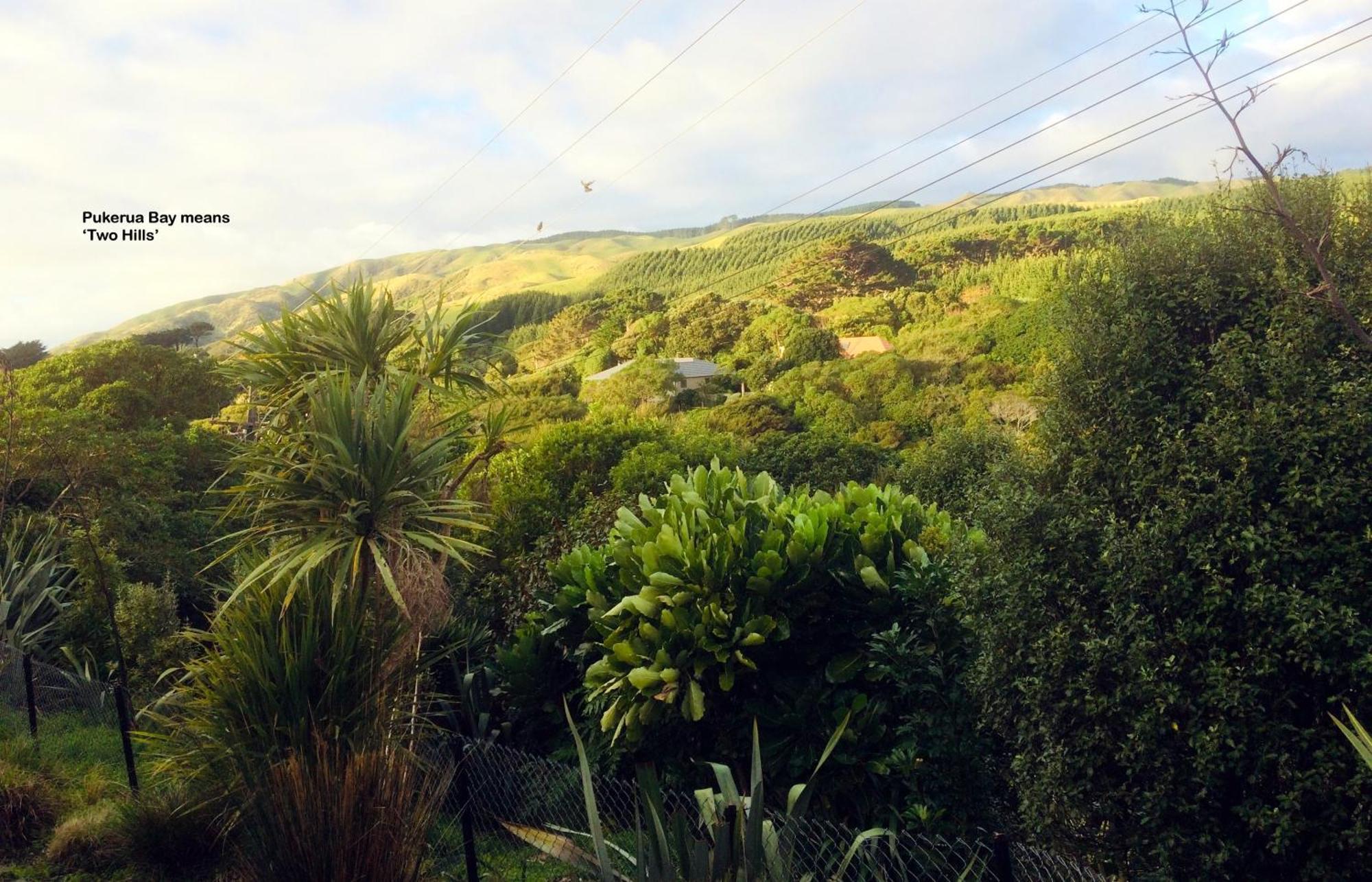 Peaceful Pukerua Bay Apartment Bagian luar foto